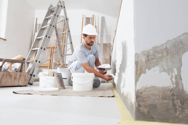 Best Drywall Sanding and Smoothing  in Colfax, IA