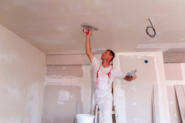 Best Touch-Up Painting  in Colfax, IA