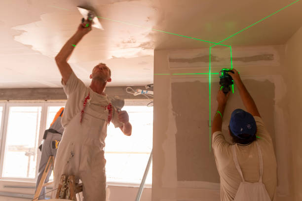 Best Drywall Installation  in Colfax, IA